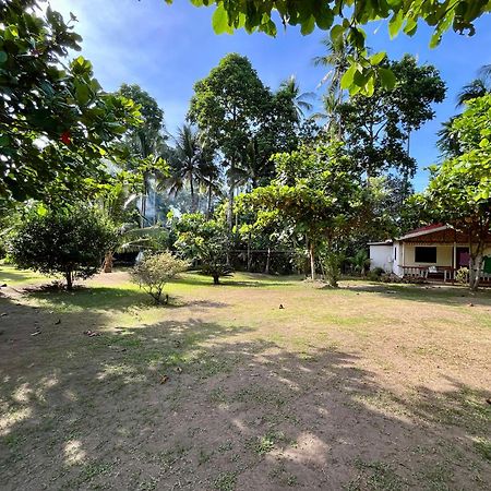 Paco'S Garden Home Stay Mambajao Dış mekan fotoğraf