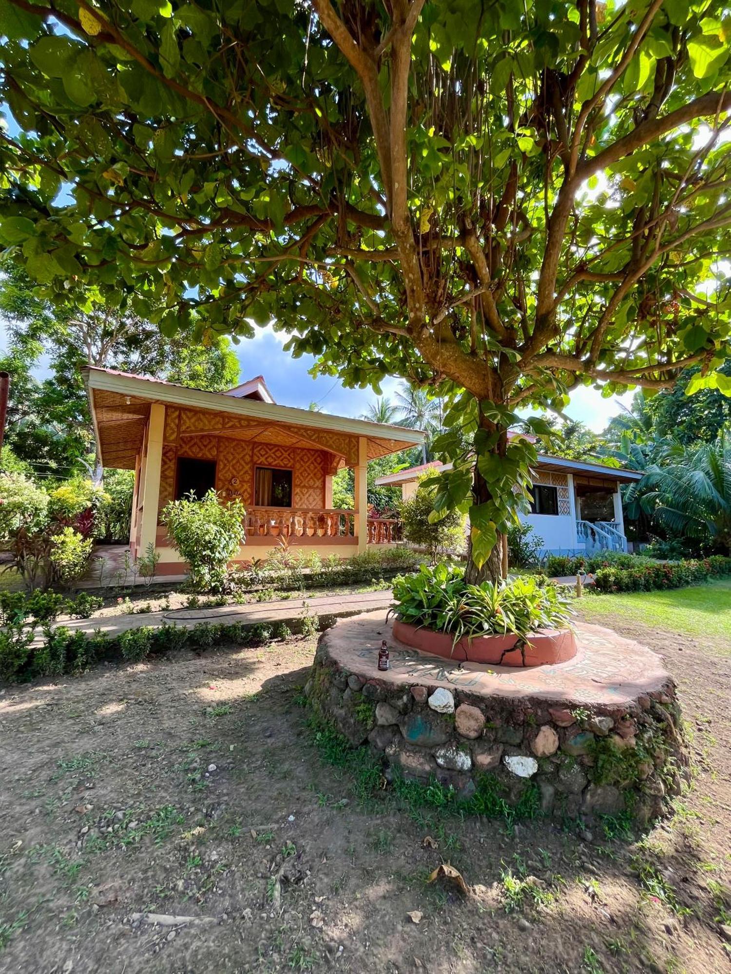 Paco'S Garden Home Stay Mambajao Dış mekan fotoğraf